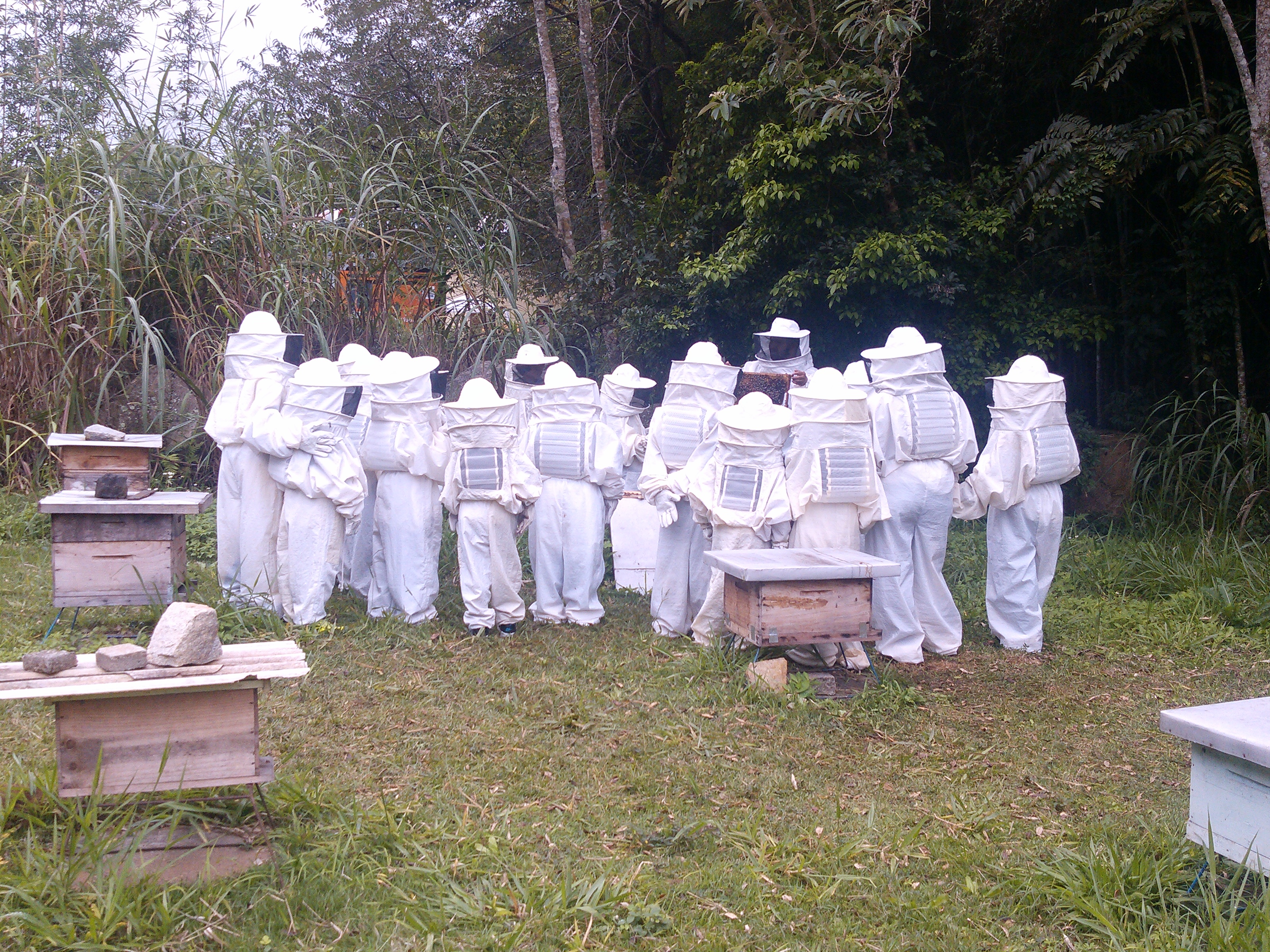 aula de campo